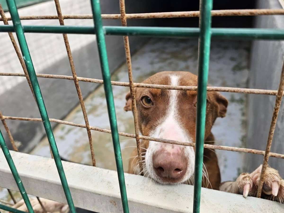 L’UNIONE FA LA&nbsp;FORZA