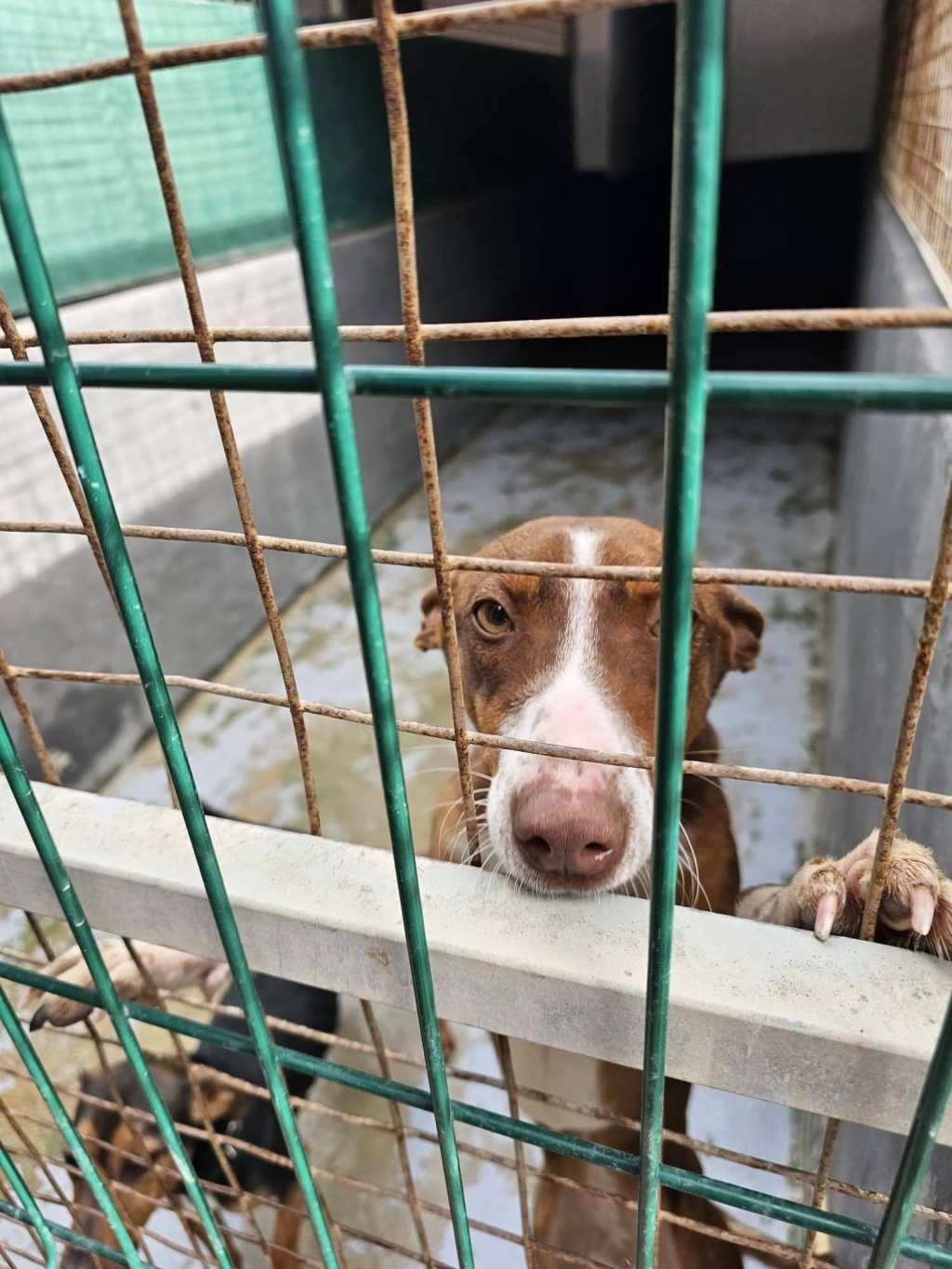 L’UNIONE FA LA&nbsp;FORZA