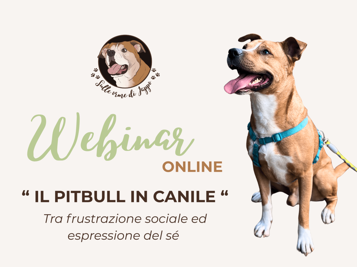 Webinar online: 
“il pitbull in&nbsp;canile”